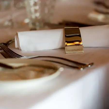 Hotel Knm Ms Switzerland Ii - Frankfurt