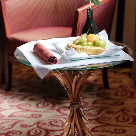 Hotel Knm Ms Switzerland Ii - Frankfurt