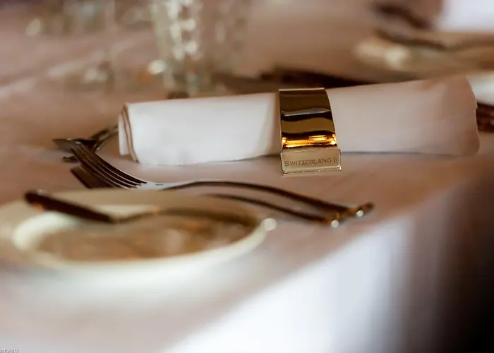 Hotel Knm Ms Switzerland Ii - Frankfurt